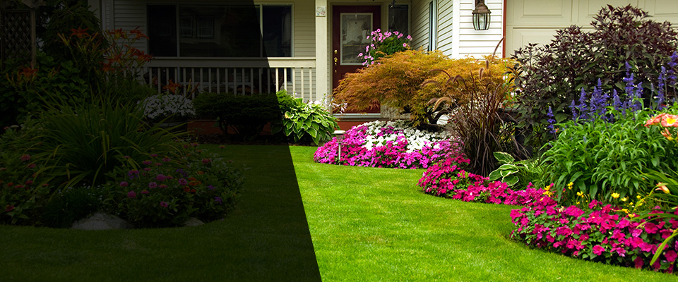 Waban Landscapers